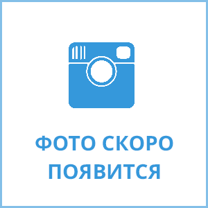 Фролова Светлана Николаевна Фролова Светлана Николаевна